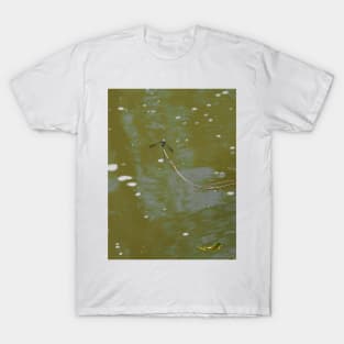 Dragonfly T-Shirt